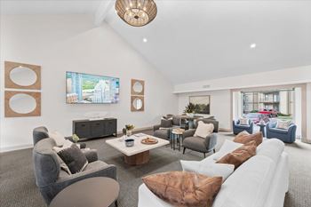 Bright living room